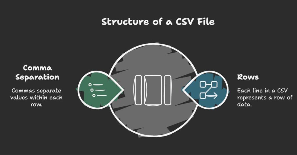 Structure of a CSV File